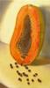 Papaya<br>2006, Oil on canvas, 9” x 12”